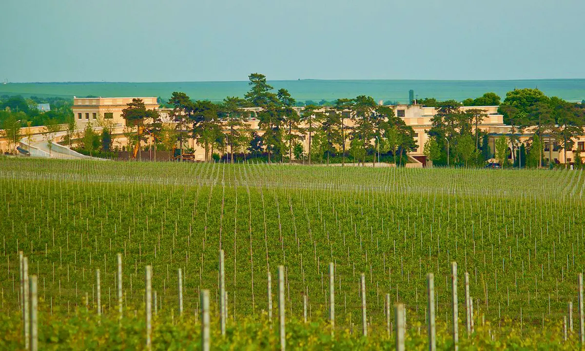 Domeniul Coroanei Segarcea Winery - Segarcea, Oltenia