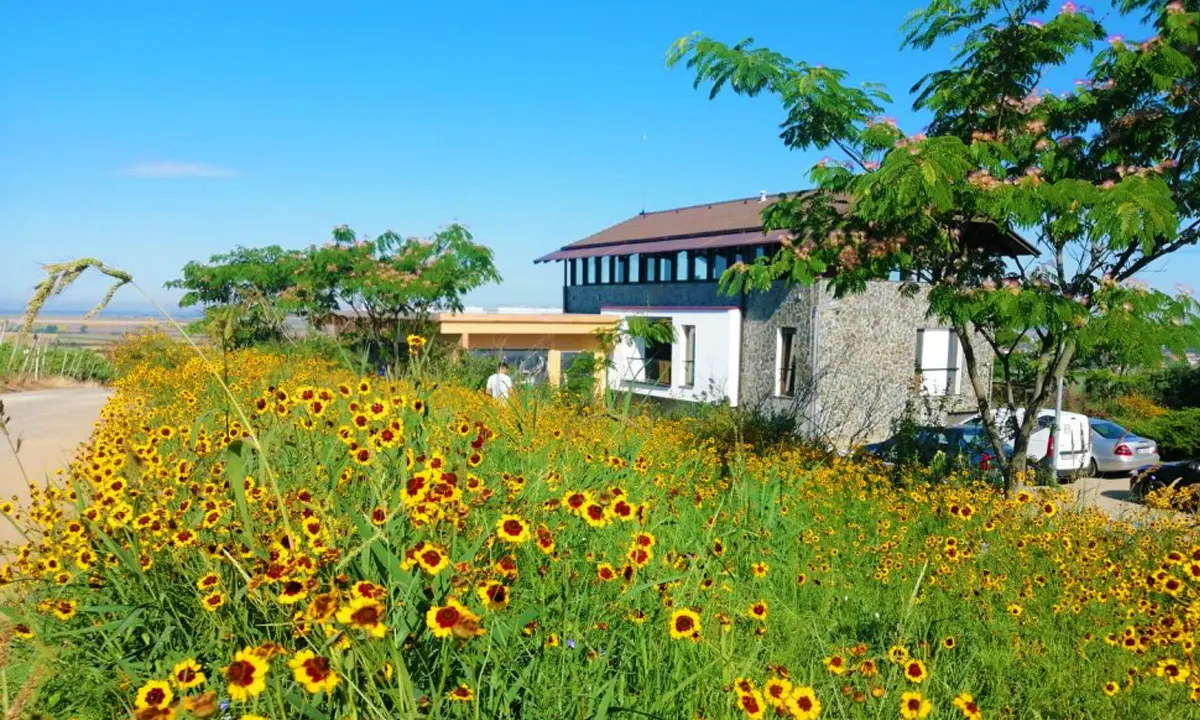 Thesaurus Winery - Silagiu, Banat, Romania