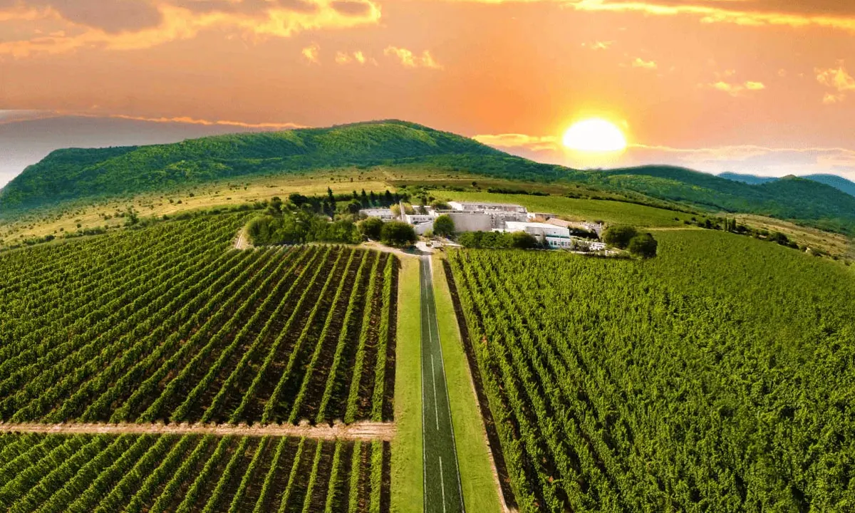 Via Viticola Winery - Sarica Niculitel, Dobrogea